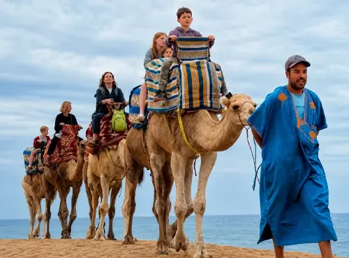 Camel Ride in Timlaline